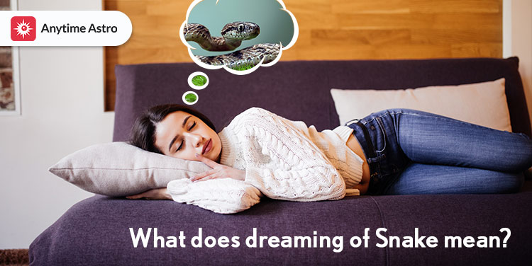 snake in dream meaning