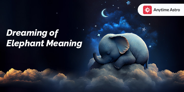 Dreaming of Elephant Meaning and Significance in Astrology