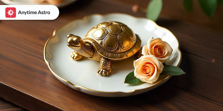 vastu tortoise