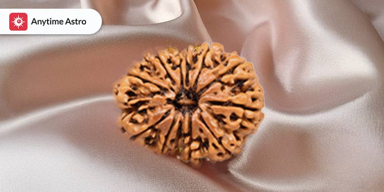 12 mukhi rudraksha