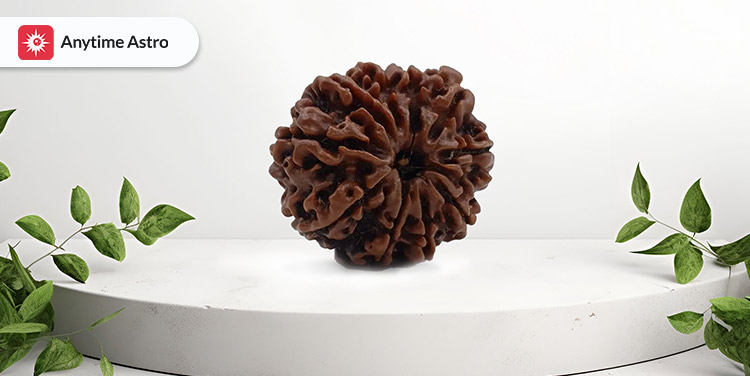 10 mukhi rudraksha