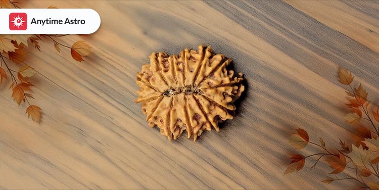 13 Mukhi Rudraksha Benefits: Power, Significance & More