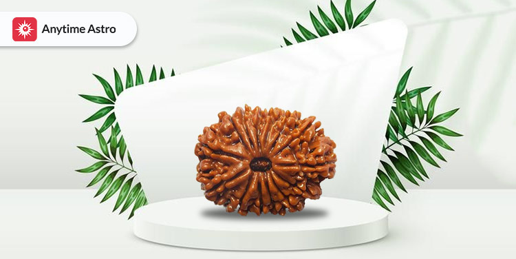 14 Mukhi Rudraksha Benefits: Power, Significance & More