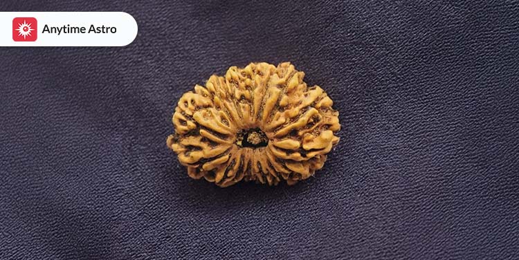 15 Mukhi Rudraksha Benefits: Power, Significance & More