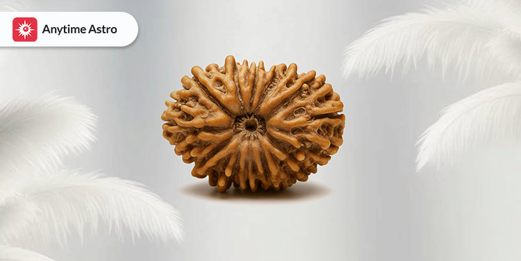 sixteen mukhi rudraksha