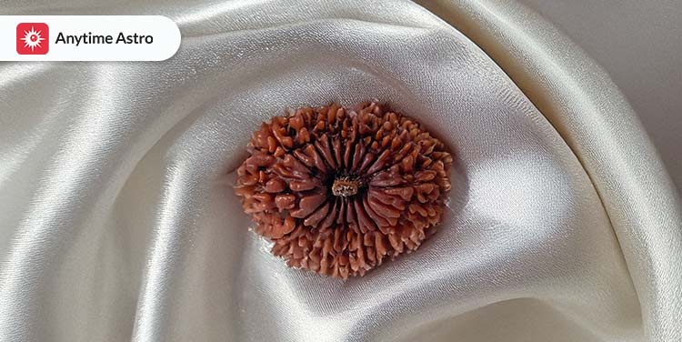 eighteen mukhi rudraksha