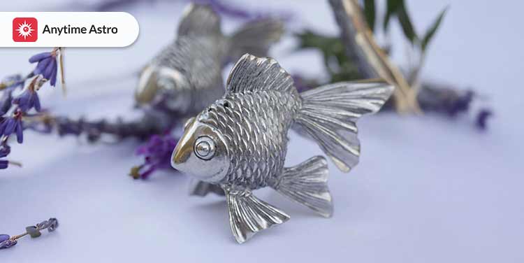 Silver Fish Vastu: Direction and Benefits for Home