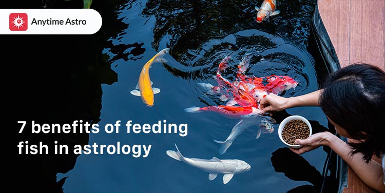 7 benefits of feeding fish in astrology