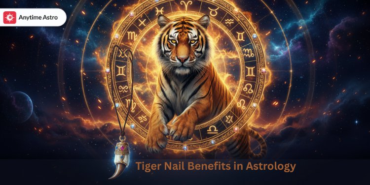 Tiger Nail Benefits in Astrology