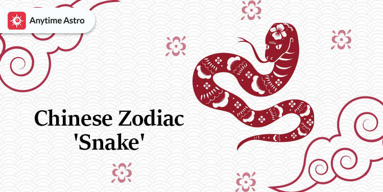 chinese zodiac snake