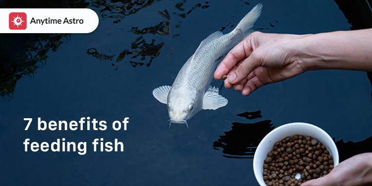 benefits of feeding fish in astrology