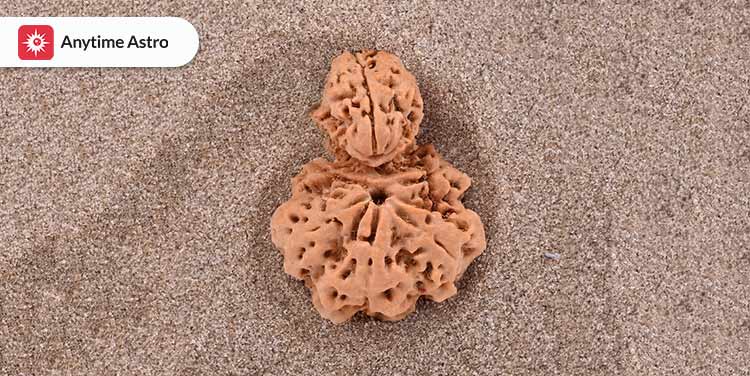 savar naag rudraksha