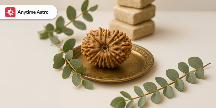 16 mukhi rudraksha benefits