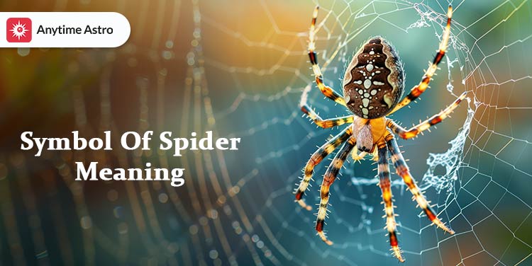 spiritual symbolism of spiders
