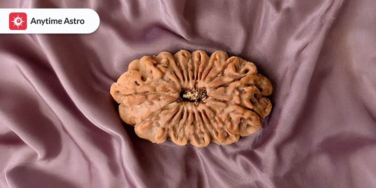 20 mukhi rudraksha benefits