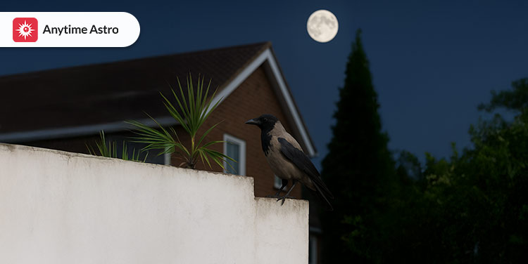 meaning of crow landing on your balcony