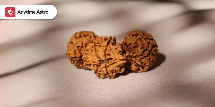 benefits of trijuti rudrakshas