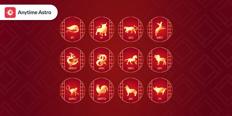 about chinese zodiac signs