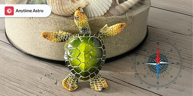 tortoise face direction in homes