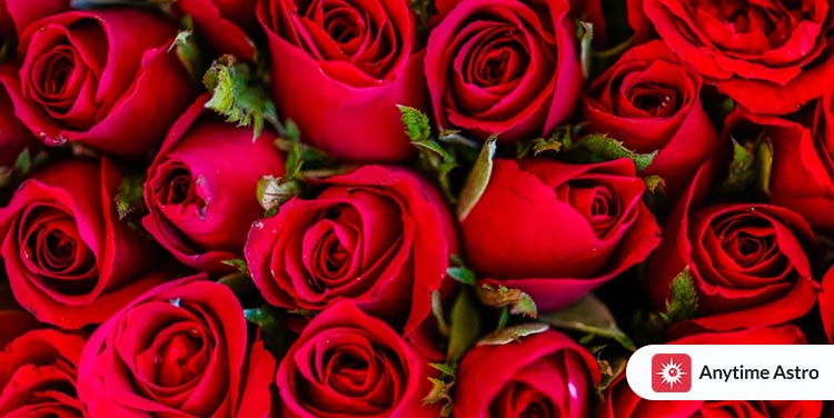 Go Cliché With Red Roses on Valentine's Day
