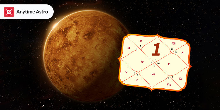 venus In first house in kundali
