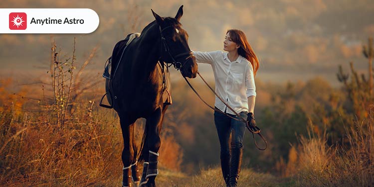 dreams about black horse