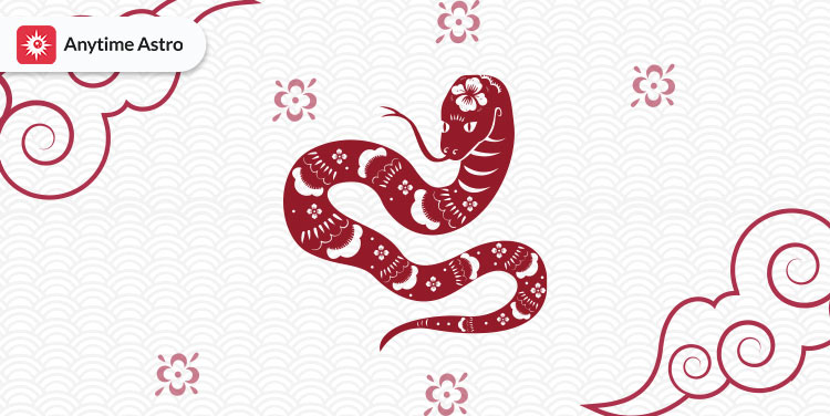 Year of the chinese zodiac snake