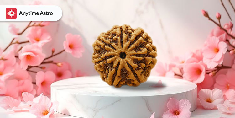 7 mukhi rudraksha benefits