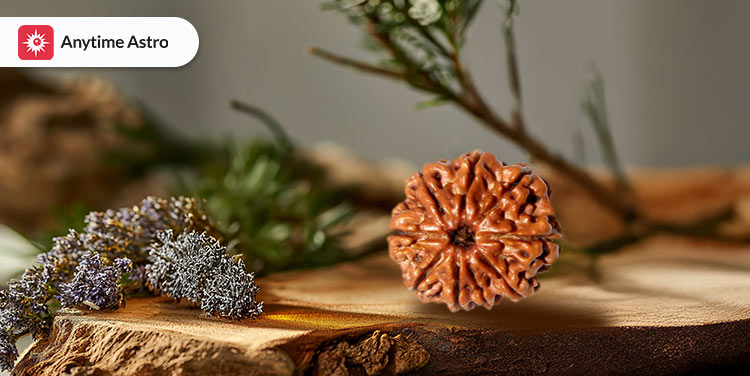 9 mukhi rudraksha benefits