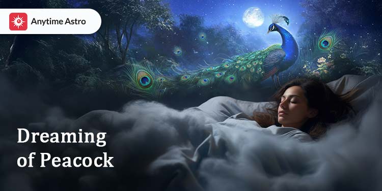 dreamings of a peacock
