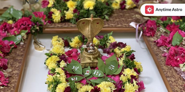 vasuki kaal sarp dosh meaning