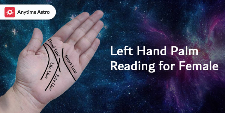 Left hand palm reading for female